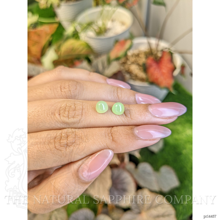 2.79 Ct.Tw. Green Cabochon Jade Pair from Burma (Myanmar)