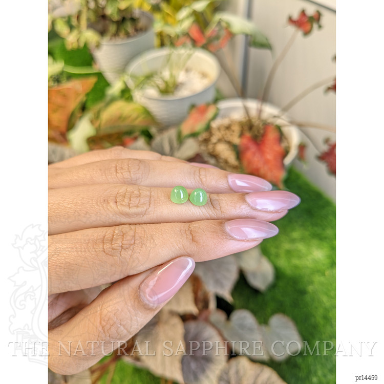 2.67 Ct.Tw. Green Cabochon Jade Pair from Burma (Myanmar)