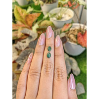 1.41&nbsp;Ct.Tw.Total Carat Weight Green Cabochon Jade Pair from Burma (Myanmar) Life Style