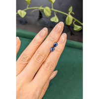 1.54&nbsp;Ct.Tw.Total Carat Weight Blue Sapphire Pair from Ceylon (Sri Lanka) Life Style