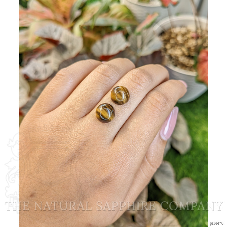 8.69 Ct.Tw. Cabochon Tiger's Eye Pair from South Africa