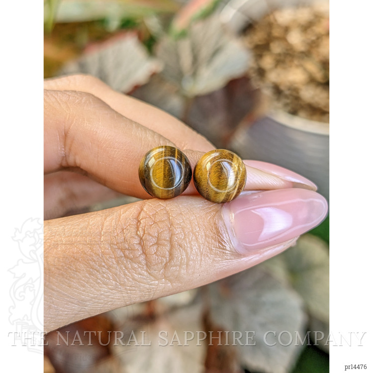 8.69 Ct.Tw. Cabochon Tiger's Eye Pair from South Africa