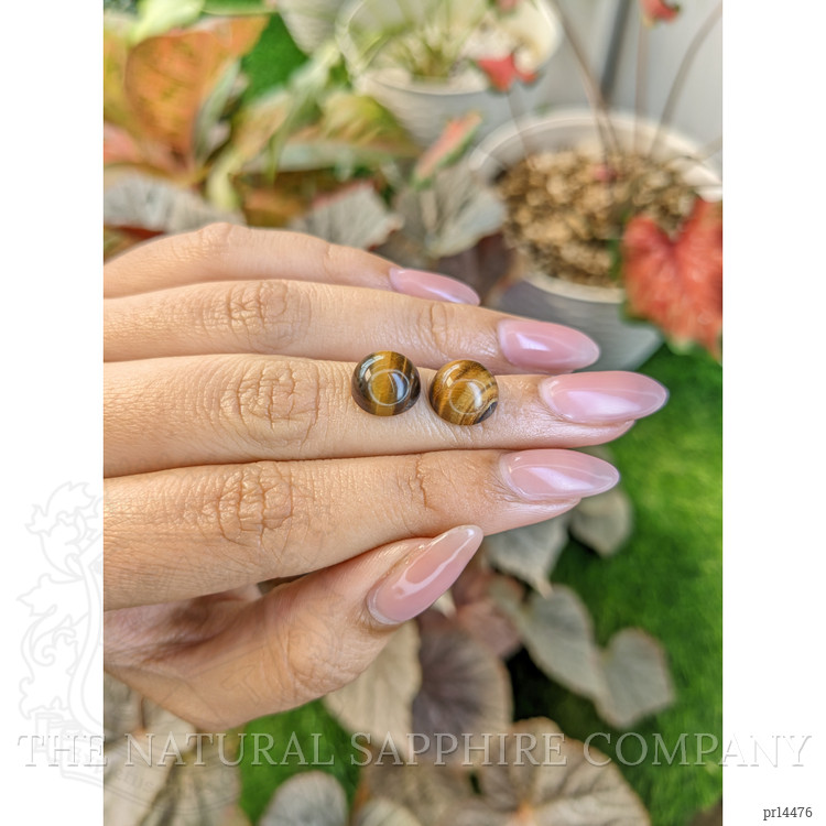 8.69 Ct.Tw. Cabochon Tiger's Eye Pair from South Africa