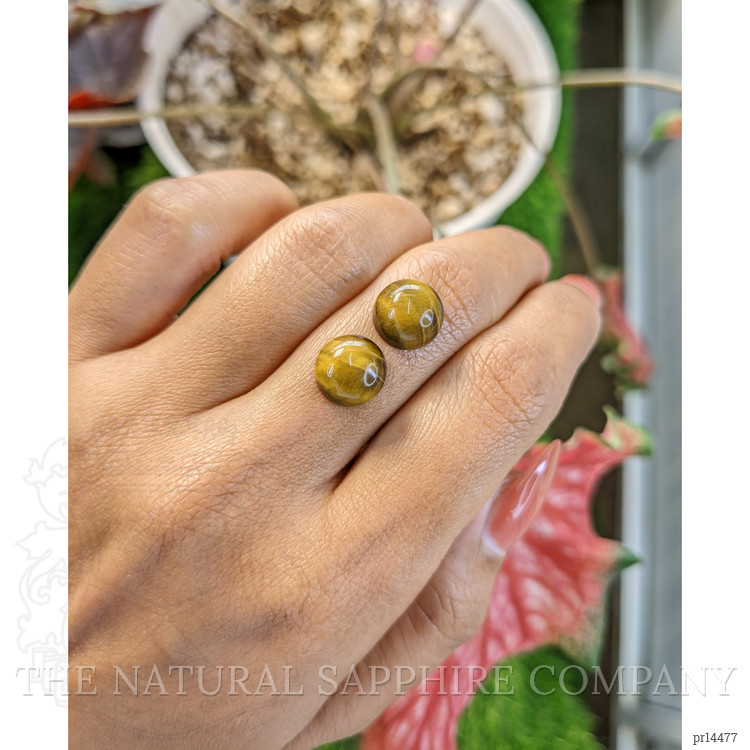 8.65 Ct.Tw. Cabochon Tiger's Eye Pair from South Africa