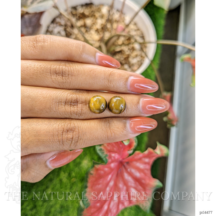 8.65 Ct.Tw. Cabochon Tiger's Eye Pair from South Africa