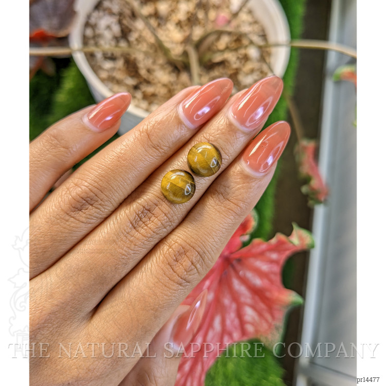 8.65 Ct.Tw. Cabochon Tiger's Eye Pair from South Africa