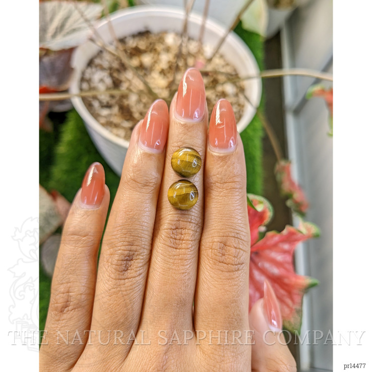 8.65 Ct.Tw. Cabochon Tiger's Eye Pair from South Africa