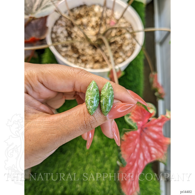 12.46 Ct.Tw. Green Cabochon Jade Pair from Burma (Myanmar)