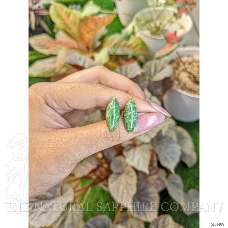 12.65 Ct.Tw. Green Cabochon Jade Pair from Burma (Myanmar)
