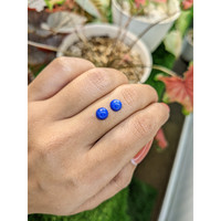 1.84 Ct.Tw.Total Carat Weight Cabochon Lapis Pair from Afghanistan Life Style