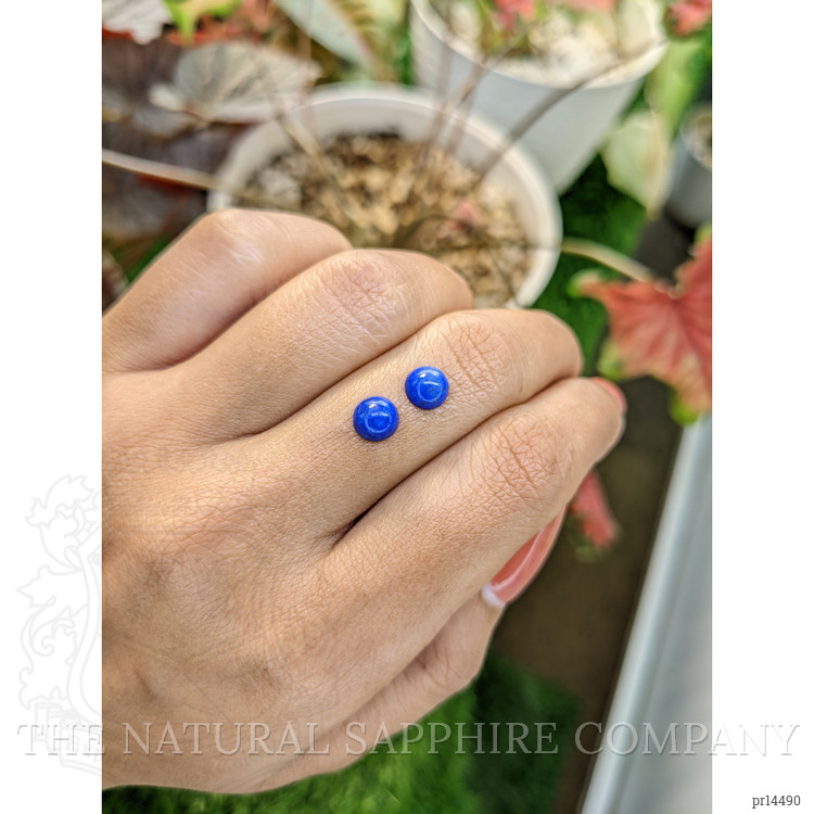 1.84 Ct.Tw. Cabochon Lapis Pair from Afghanistan