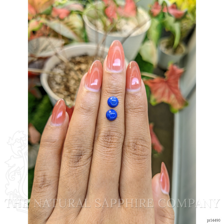 1.84 Ct.Tw. Cabochon Lapis Pair from Afghanistan