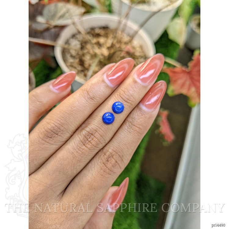 1.84 Ct.Tw. Cabochon Lapis Pair from Afghanistan