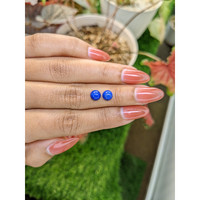 1.84&nbsp;Ct.Tw.Total Carat Weight Cabochon Lapis Pair from Afghanistan Life Style