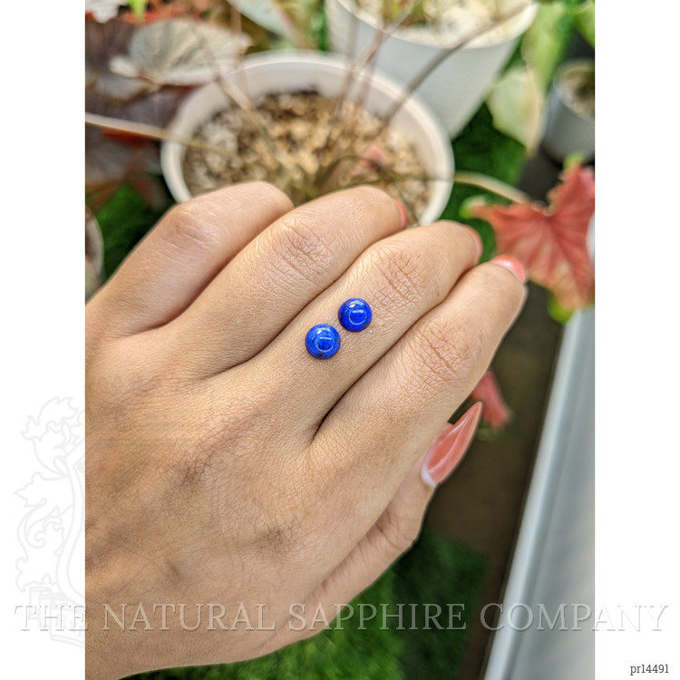 2.00 Ct.Tw. Cabochon Lapis Pair from Afghanistan