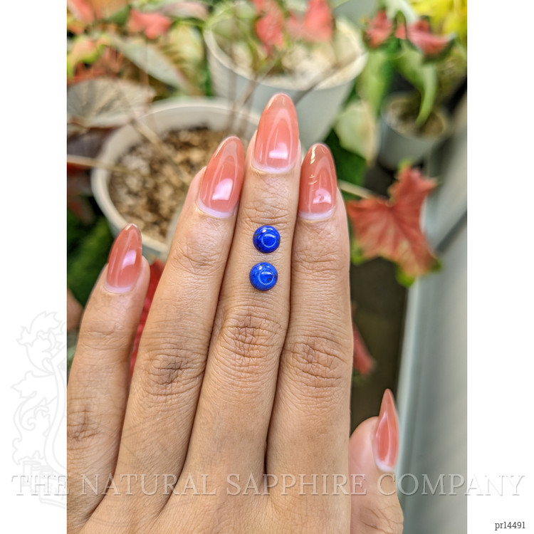 2.00 Ct.Tw. Cabochon Lapis Pair from Afghanistan