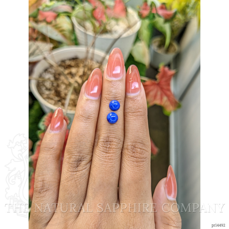 2.00 Ct.Tw. Cabochon Lapis Pair from Afghanistan
