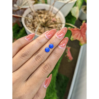 2.00 Ct.Tw.Total Carat Weight Cabochon Lapis Pair from Afghanistan Life Style