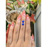 1.91 Ct.Tw.Total Carat Weight Cabochon Lapis Pair from Afghanistan Life Style