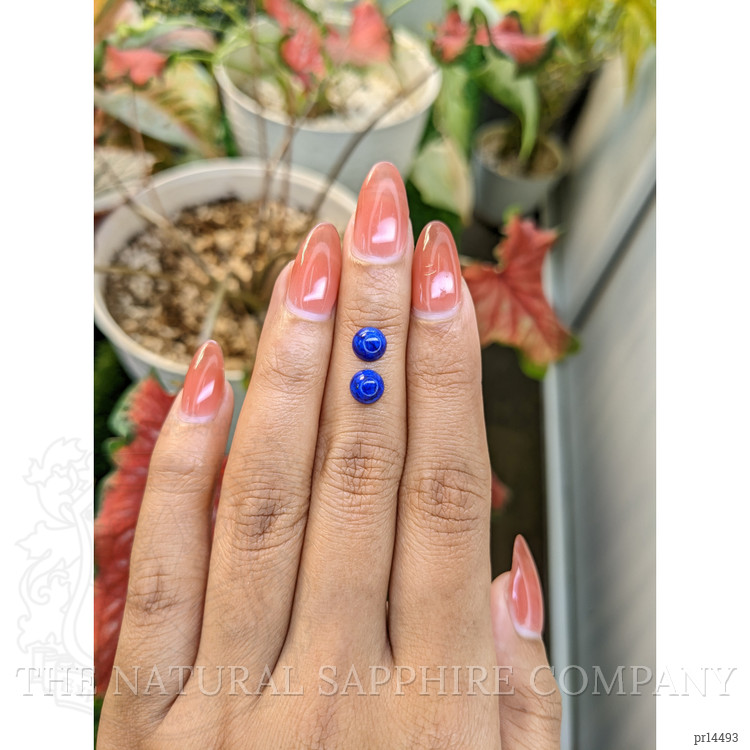 1.91 Ct.Tw. Cabochon Lapis Pair from Afghanistan