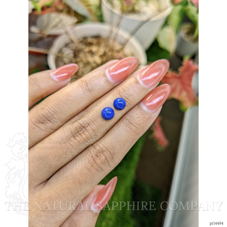 1.86 Ct.Tw. Cabochon Lapis Pair from Afghanistan