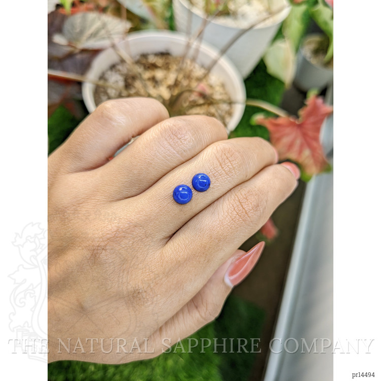 1.86 Ct.Tw. Cabochon Lapis Pair from Afghanistan