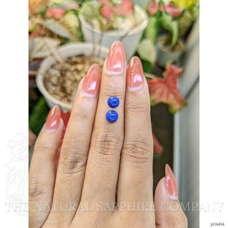 1.86 Ct.Tw. Cabochon Lapis Pair from Afghanistan