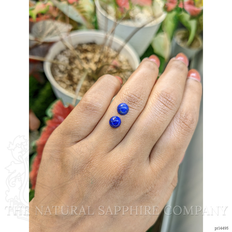 1.85 Ct.Tw. Cabochon Lapis Pair from Afghanistan