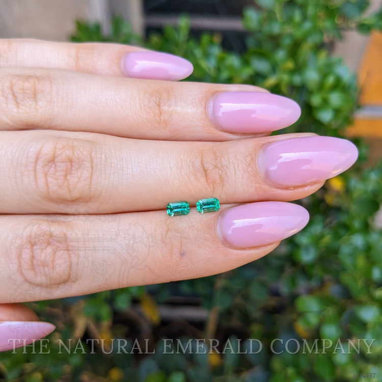 0.50 Ct.Tw. Emerald Pair from Afghanistan