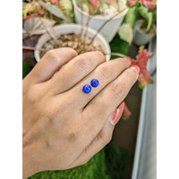1.98 Ct.Tw.Total Carat Weight Cabochon Lapis Pair from Afghanistan Life Style