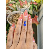 1.98 Ct.Tw.Total Carat Weight Cabochon Lapis Pair from Afghanistan Life Style