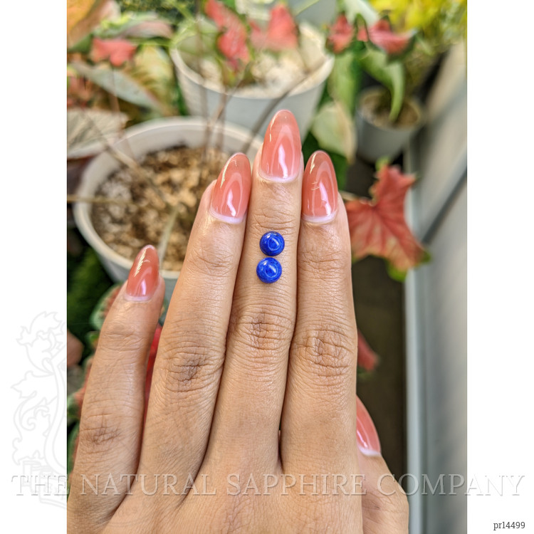 1.98 Ct.Tw. Cabochon Lapis Pair from Afghanistan