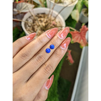 1.84&nbsp;Ct.Tw.Total Carat Weight Cabochon Lapis Pair from Afghanistan Life Style