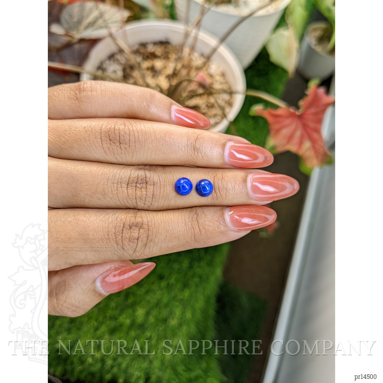 1.84 Ct.Tw. Cabochon Lapis Pair from Afghanistan