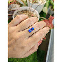 1.84 Ct.Tw.Total Carat Weight Cabochon Lapis Pair from Afghanistan Life Style