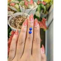 1.84&nbsp;Ct.Tw.Total Carat Weight Cabochon Lapis Pair from Afghanistan Life Style