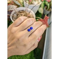 1.80&nbsp;Ct.Tw.Total Carat Weight Cabochon Lapis Pair from Afghanistan Life Style