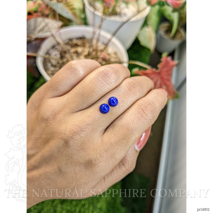 1.80 Ct.Tw. Cabochon Lapis Pair from Afghanistan