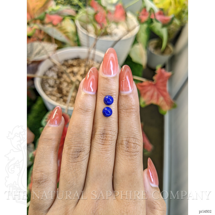 1.80 Ct.Tw. Cabochon Lapis Pair from Afghanistan