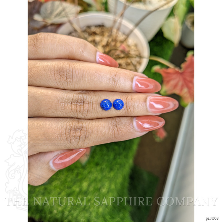 1.89 Ct.Tw. Cabochon Lapis Pair from Afghanistan