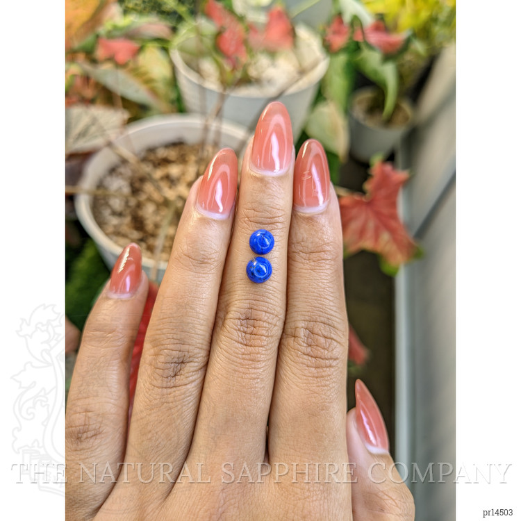 1.89 Ct.Tw. Cabochon Lapis Pair from Afghanistan