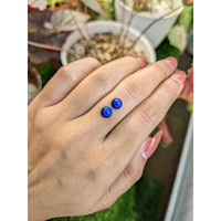 1.94 Ct.Tw.Total Carat Weight Cabochon Lapis Pair from Afghanistan Life Style