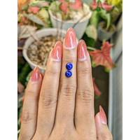 1.83 Ct.Tw.Total Carat Weight Cabochon Lapis Pair from Afghanistan Life Style