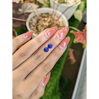 1.83 Ct.Tw.Total Carat Weight Cabochon Lapis Pair from Afghanistan Life Style