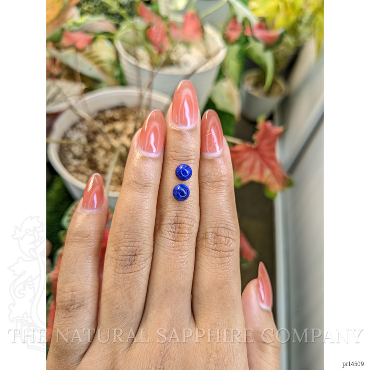 1.87 Ct.Tw. Cabochon Lapis Pair from Afghanistan