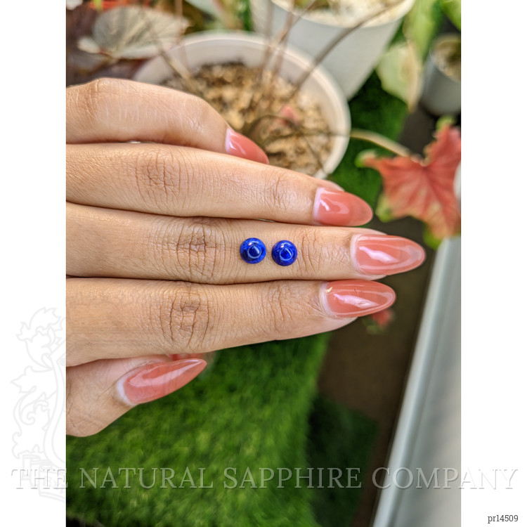 1.87 Ct.Tw. Cabochon Lapis Pair from Afghanistan