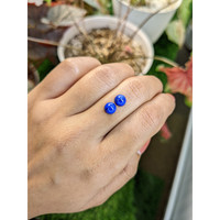 1.98 Ct.Tw.Total Carat Weight Cabochon Lapis Pair from Afghanistan Life Style
