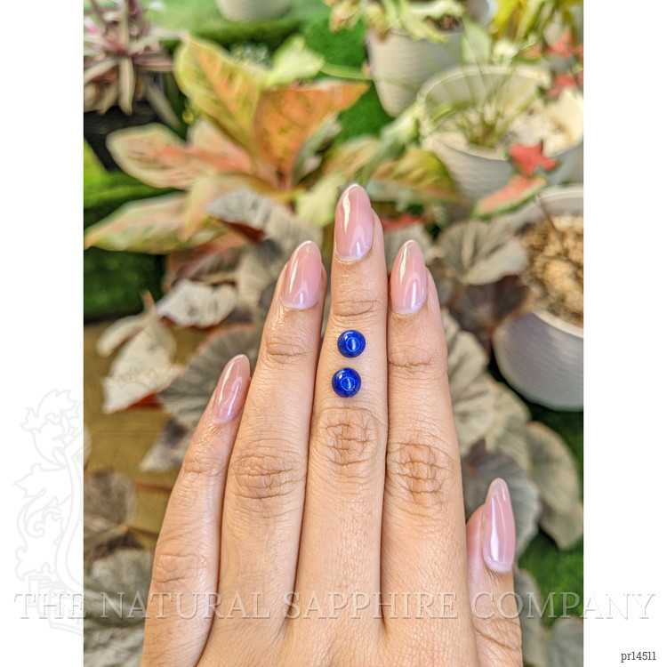 1.99 Ct.Tw. Cabochon Lapis Pair from Afghanistan