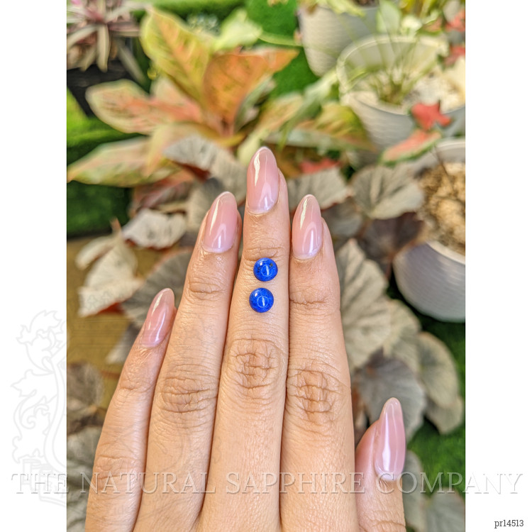 1.90 Ct.Tw. Cabochon Lapis Pair from Afghanistan
