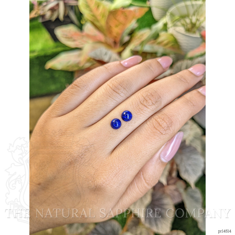 1.60 Ct.Tw. Cabochon Lapis Pair from Afghanistan